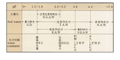 土壌の保水性（pFとは？） 